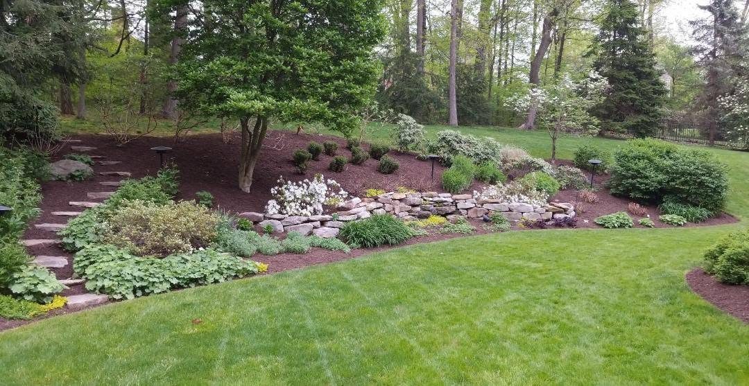 A planted slope bed with a dry-stacked stone wall, stepping stones and a striped lawn
